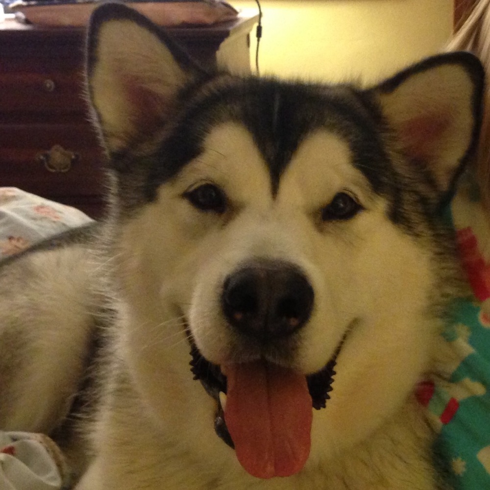 Meet your Posher, Sheryl